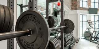 Troubadour Gallery 113