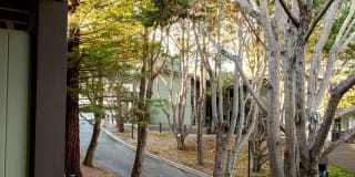 Crystal Springs Terrace Gallery 7