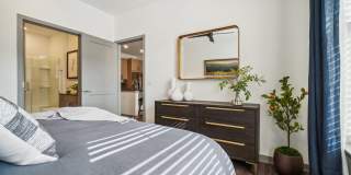 Premier at West Park Gallery 11