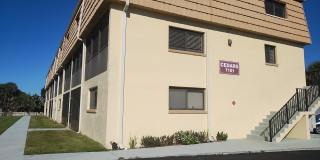 7101 Ridgewood Avenue Gallery 1