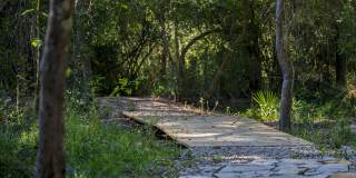 Asher Towne Lake Gallery 28