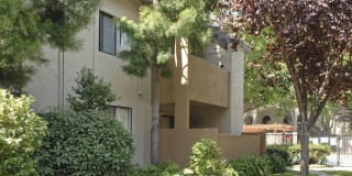 Avalon Mountain View Gallery 32