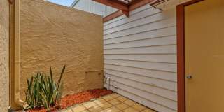 1163 ORANGE TREE CIRCLE W Gallery 26