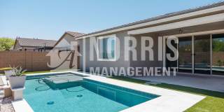 Beautiful New Top Tier Home with A POOL! Beautiful New Top Tier Home with A POOL! Gallery 1