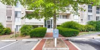 5614 BLOOMFIELD Drive unit: 204 Gallery 1