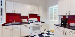 The Pepperland The Pepperland Gallery 1