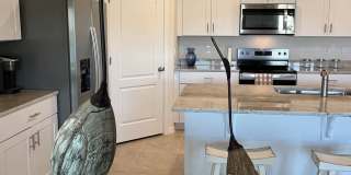 2219 Lake Preserve Circle Gallery 46