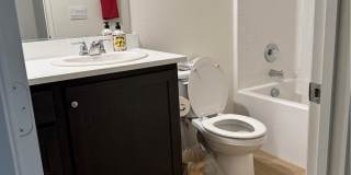 26097 Stargazer Gallery 2