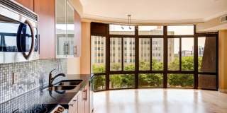 Mira First & M Gallery 33