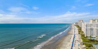 Hudson Carolina Forest Gallery 44