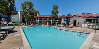 Pointe Niguel Gallery 22