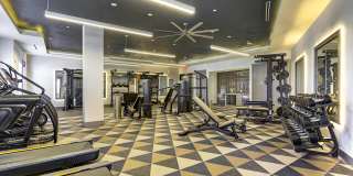 Alexan Rivercrest Gallery 3