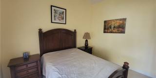 5 Morning Glory Gallery 23