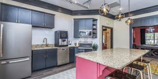 Atlantic Palms Gallery 17