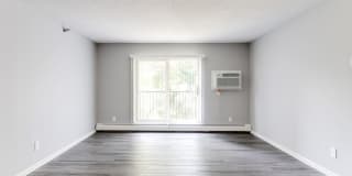 White Pines Gallery 17