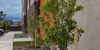Artspace Colorado Spring Gallery 2