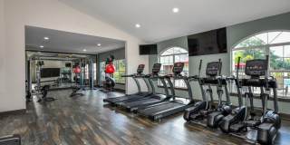 The Finley Gallery 10