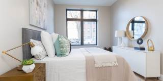 Cadence on Leo Gallery 1