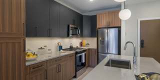 333 North Broad Gallery 6