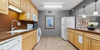 The Plaza Gallery 12