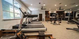 Muse at SoCo Gallery 31