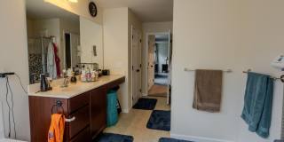 3365 ALYDAR Road Gallery 30