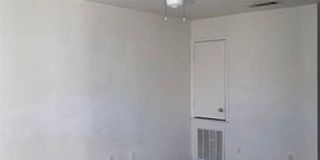 3803 Y S Pak Court Gallery 11