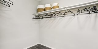 The Sonata Gallery 13