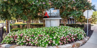 Arrive Silver Spring Gallery 83