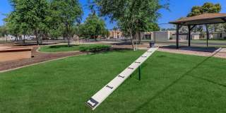 Aster on University Gallery 21