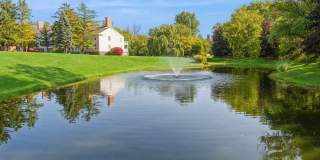 ReNew Woodland North and South Gallery 57