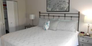 6 Aztec Lily Lane Gallery 11
