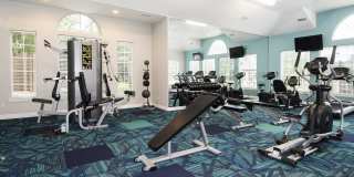 Addison at Cherry Creek Gallery 17