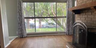 138 Shady Rill Gallery 4