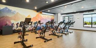 The Devon at University Place Gallery 47