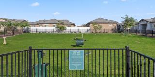 Vlux at Queen Creek Gallery 44