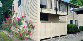 7445 Auburn Oaks Ct Gallery 2
