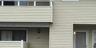 529 Summer Winds Lane - 1 Gallery 1