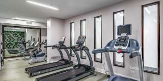 Maven at Wheaton Gallery 16