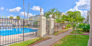 Pelicans Landing Gallery 27