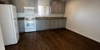 Pioneer - South Gallery 1