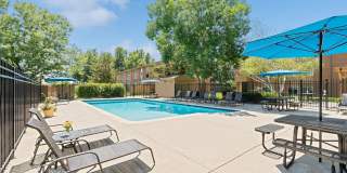 Glen Ridge Gallery 11