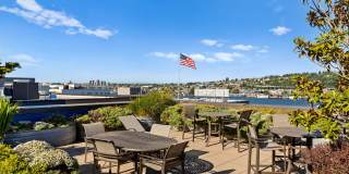 Dexter Lake Union Gallery 23