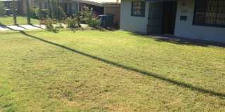 Spacious 3BR Tempe Home with Lush Yard & Irrigation – Available July 1! Gallery 5