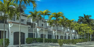 Solero at Plantation Gallery 48