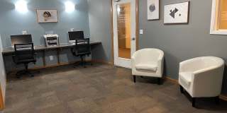 Springtree Gallery 17