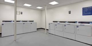 Brakeley Gardens Gallery 10