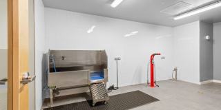 Solis at Petrosa Gallery 24