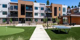 Sutter Green II Gallery 25
