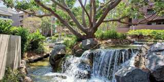 3400 Avenue of the Arts Apartments Gallery 20